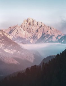 Services 06 233x300 1